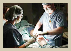 Dr. Raphael